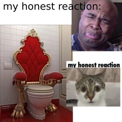 My New Toilet (not clickbait)