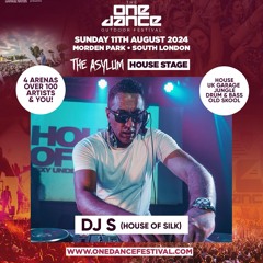 DJ  S LIVE SET #OneDanceFestival #TheAsylum 11/08/24 @ Morden Park