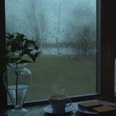 Rain Echoes