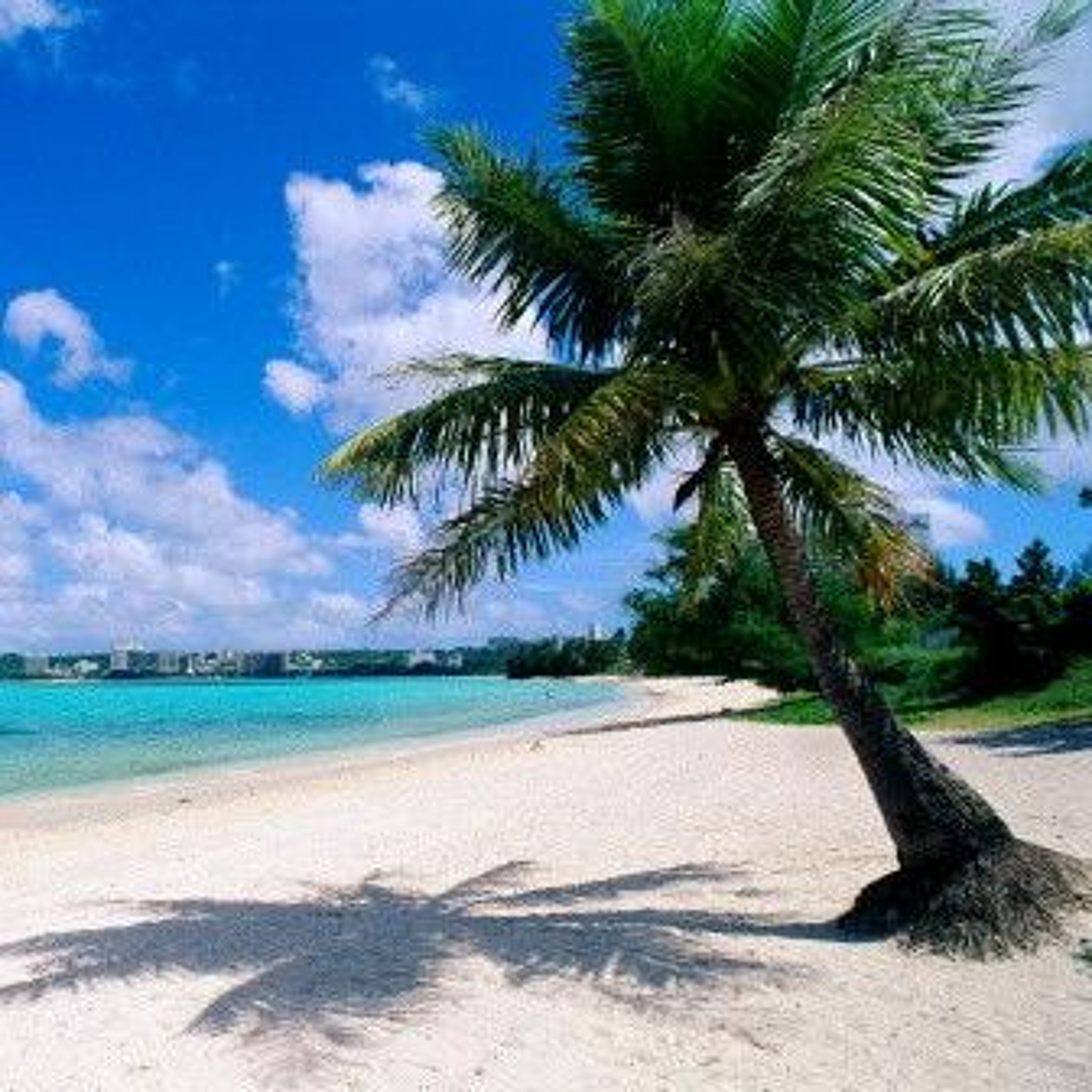 DJ JIMIX Mix P'tit Voyage Tropical Of The Caribbean (ZouK - Kompa) episode artwork