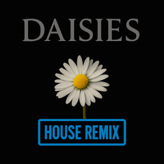 DAISIES - Justin Bieber (House/UK Garage remix)