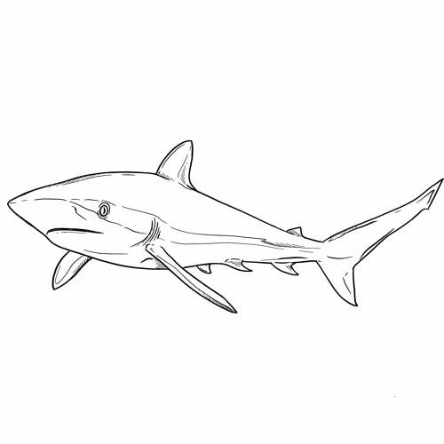 Stream episode The Silky Shark, with Iris Ziegler, for Voices from the ...