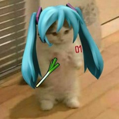 ˚₊‧꒰ঌ ☆ ໒꒱‧₊˚