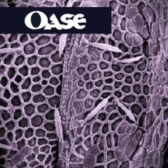 OASE - Overdue [Free DL]