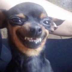 ZEXÜL BOX PRESENTS: MONEY MAN FREESTYLE #GOBLINUNIT! #100GIGSINHERASS