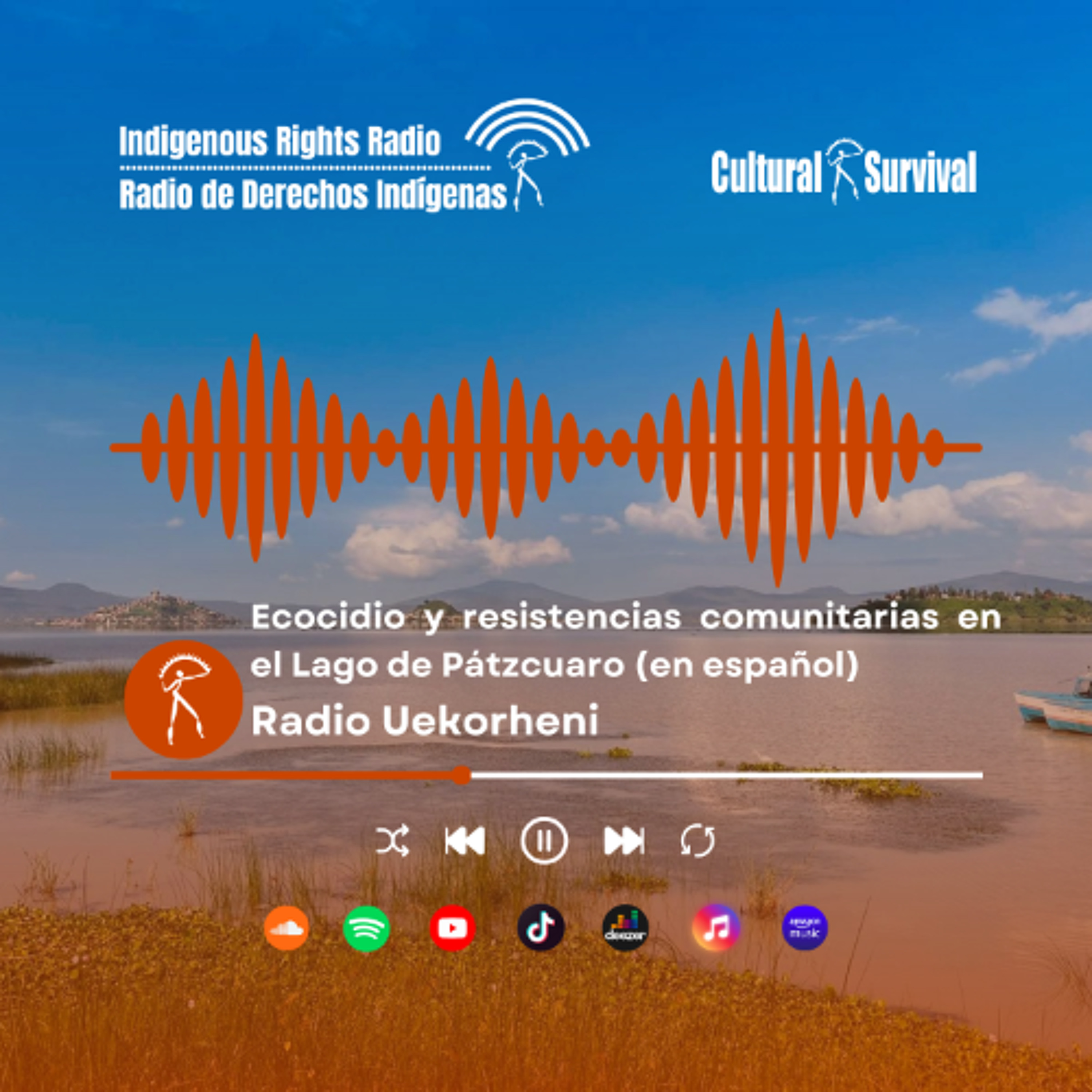 Japunda. Ecocidio y resistencias comunitarias en el Lago de Pátzcuaro (en español)