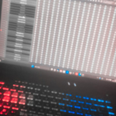 ZZParky - Experience