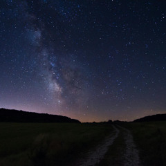 Tout L'Univers (bootleg)