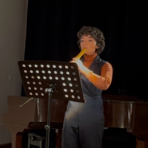 Antonio Vivaldi RV 108 sonata in aminor