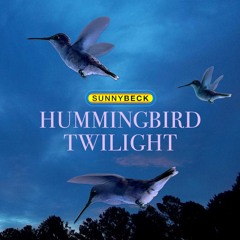 Hummingbird Twilight