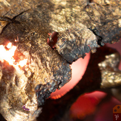 Dust (take my voice)