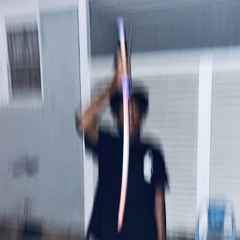 Fly