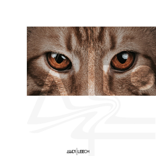 Andy Leech - Amber Eyes (feat. No One)