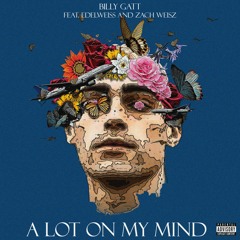 Billy Gatt - A lot on my mind (feat. Edelweiss & Zach Weisz)