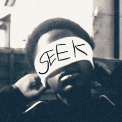 DC3 - SEEK