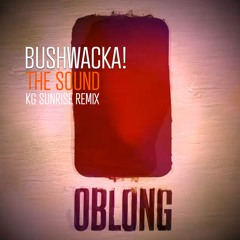 Bushwacka - The Sound - KG Sunrise Remix 2021