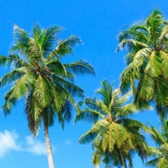 CANT BLAME ME - SHUBZ