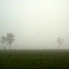 Park (tape version)