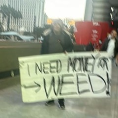 function w nettspend