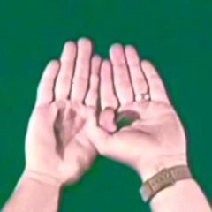 ASSIMILATIONIST TENDENCIES