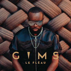 GROSSE BLETA (feat. Kaaris)