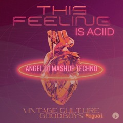 VINTAGE CULTURE & MOGUAI - THIS FEELING IS ACIID  (ANGEL DJ TECHNO MASHUP) DOWNLOAD
