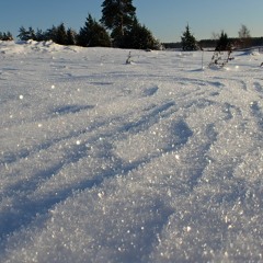 Frozen snow crunching at every step