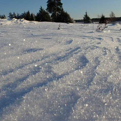 Frozen snow crunching at every step