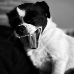 Born to Be Persuaded