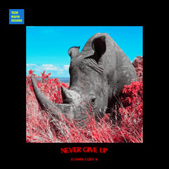 D'JAMM & Cody-K - Never Give Up (Radio Edit)