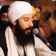 Bhai Arjan Singh - Dgn Rainsabaee 2025