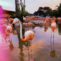 James Blondé live @ Church of Music 07-31-2021