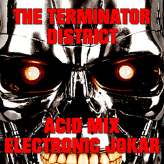 THE TERMINATOR - DISTRICT ACID MIX @Electronic Jokar