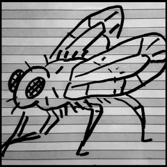 I Would Hurt A Fly [Built to Spill Cover]