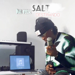 Salt (Cover)
