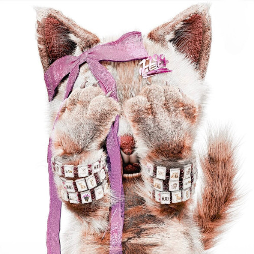 смотрю интерны с чипсами