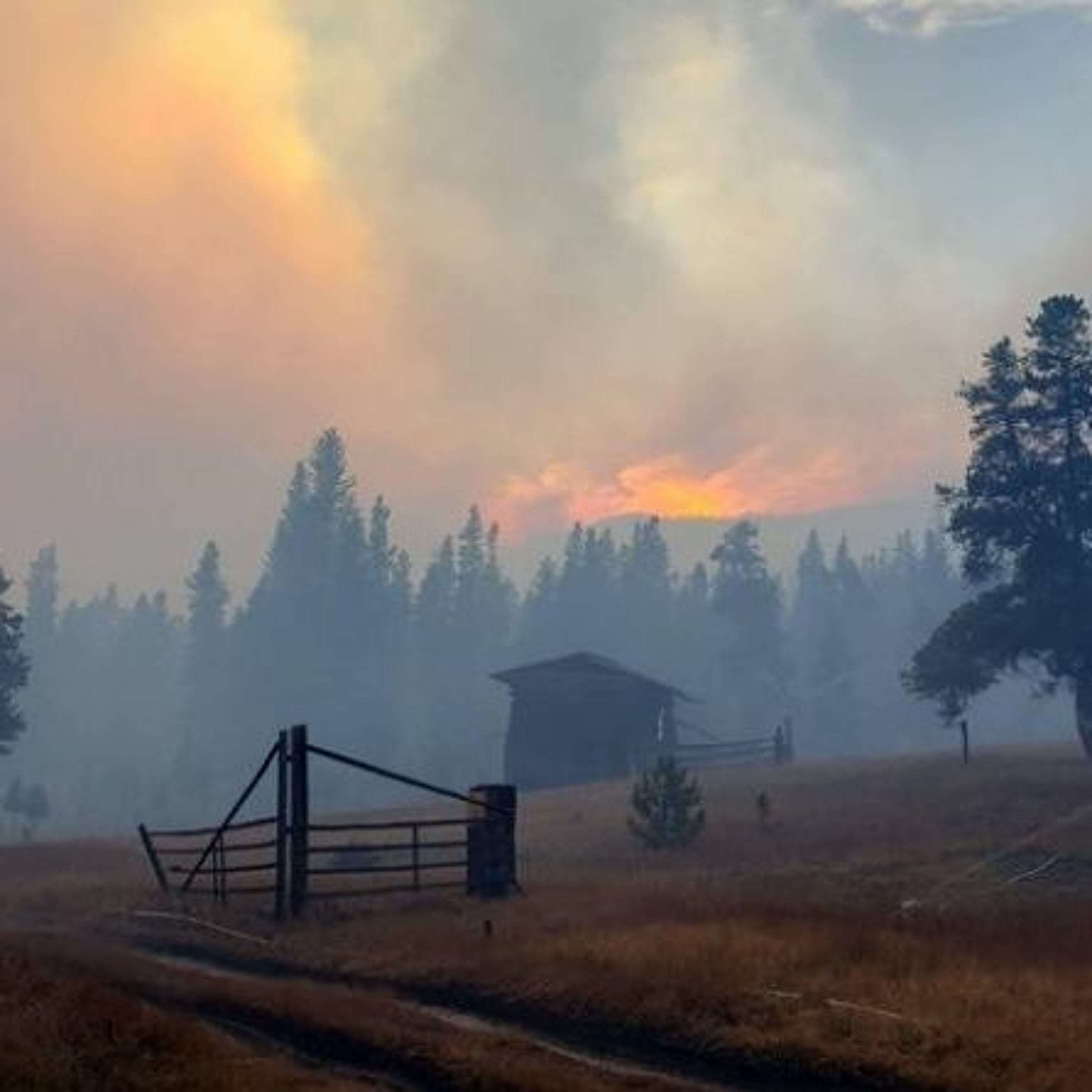 Wildfire Smoke Is Dangerous. But There Are Ways to Mitigate Its Effects episode artwork