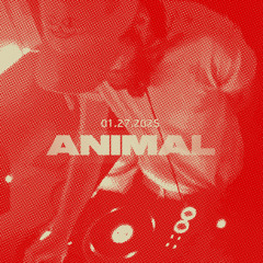 Live at Animal 01/27/2025