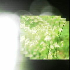 3:06.26.8.24[闭路内存泄漏]1.3