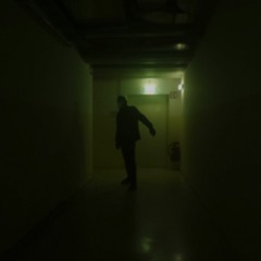 flex im mondlicht