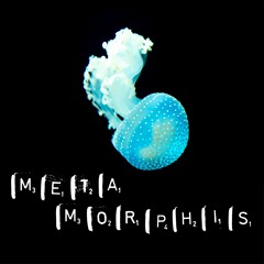 Metamorphis