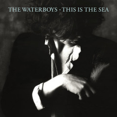 This Is the Sea (2004 Remaster)