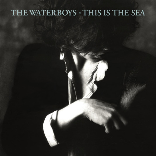 This Is the Sea (2004 Remaster)