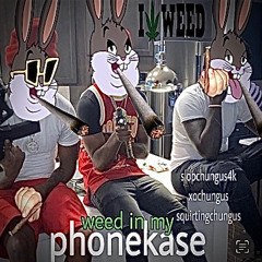 XOCHUNGUS + SLOPCHUNGUS4K + SQUIRTINGCHUNGUS🍃🍃🍃WEED IN MY PHONEKASE PROD MR BEAST