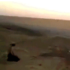 Dying horse 808 sybau song