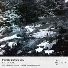 PREMIERE: Pierre Berge-Cia - Oblique (Fairgrounds Of Tears Remix) [VAST017]
