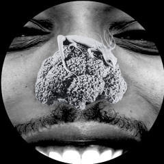 BACK TO THE GROOVE x CD IS DEAD [Slightly pitched][FREE DL]