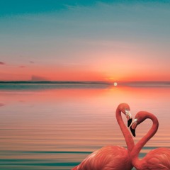 Intimate Frecuency - Chill, Lofi Beat