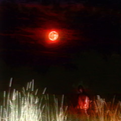 NeverSleep (Prod. CURTES)