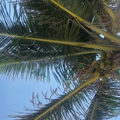Late Lounge sessions at Radio Tulum Hotel - Live Streaming Set -